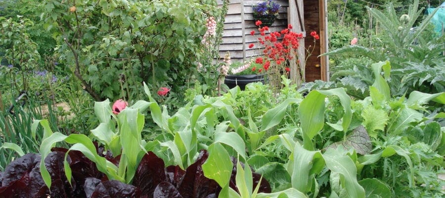 NHS should prescribe gardening, says report