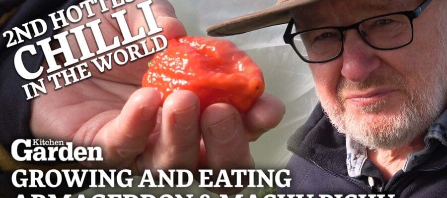 VIDEO: Growing and Eating the 2nd Hottest Chilli in the World