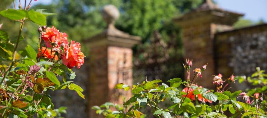 Thw Walled Garden at Chawton House, Hampshire