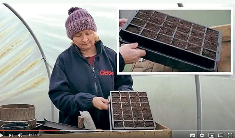 Emma on a YouTube video showing a cell planter.