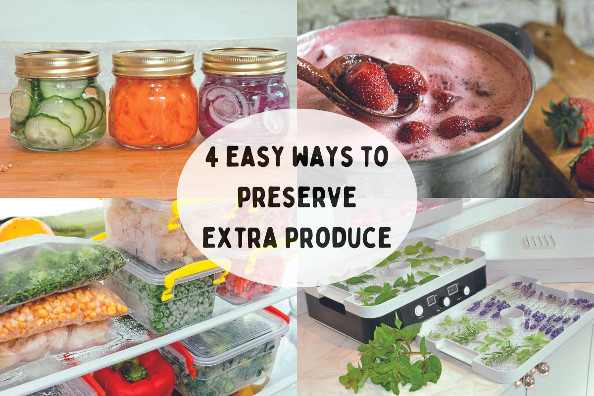 EASY WAYS TO PRESERVE FOOD